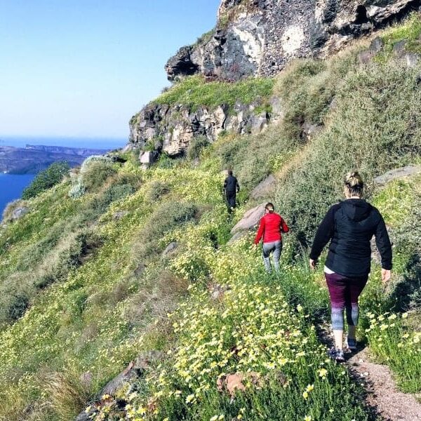 Santorini Hiking Tour